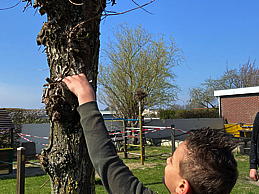 img_5021.jpg