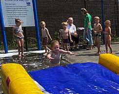 img_4737.jpg