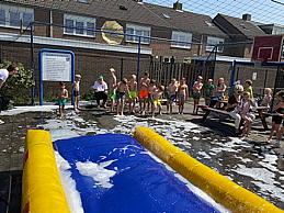 img_4777.mov