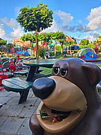 20260614_064537.jpg