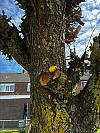 img_1386.jpg
