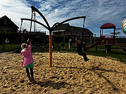 img_1393.jpg