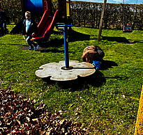 img_1431.jpg