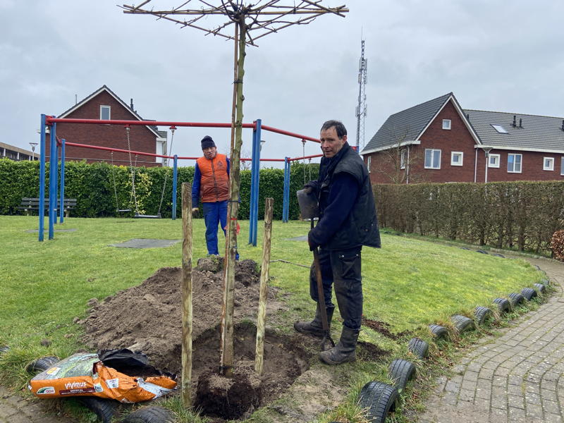Boomplantdag 2023