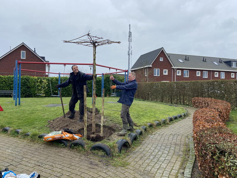 Boomplantdag 2023
