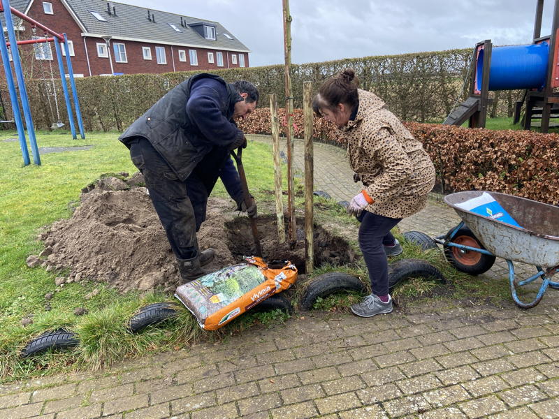 Boomplantdag 2023