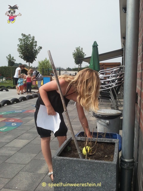 Levend Bingo 2013