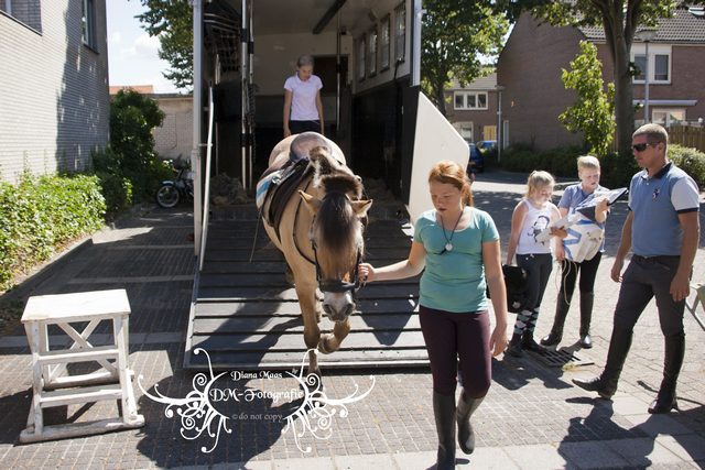 Pony rijden 2013
