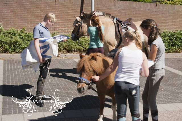 Pony rijden 2013