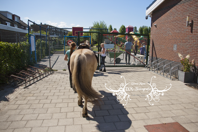 Pony rijden 2013