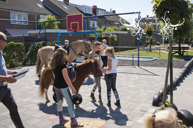 Pony rijden 2013