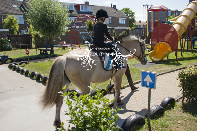 Pony rijden 2013