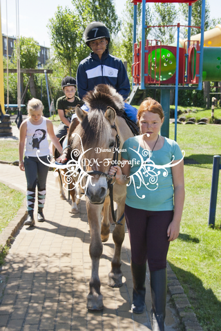 Pony rijden 2013