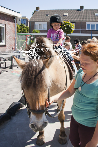 Pony rijden 2013