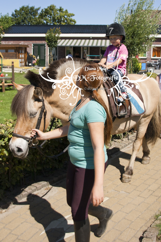 Pony rijden 2013