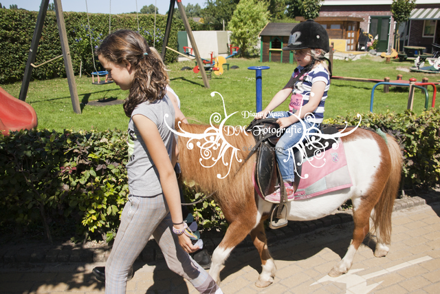 Pony rijden 2013