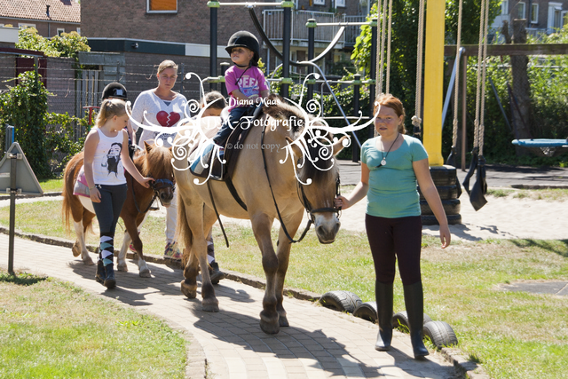 Pony rijden 2013