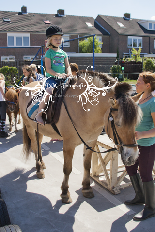 Pony rijden 2013