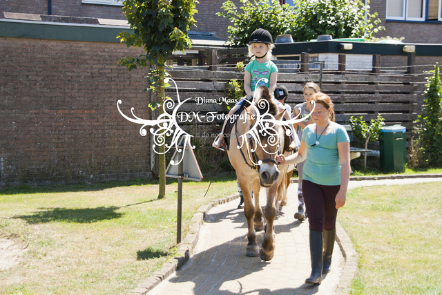 Pony rijden 2013