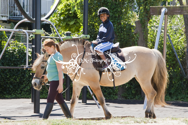 Pony rijden 2013