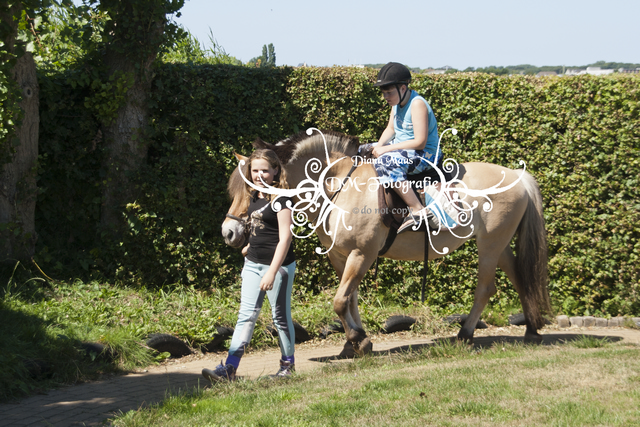 Pony rijden 2013
