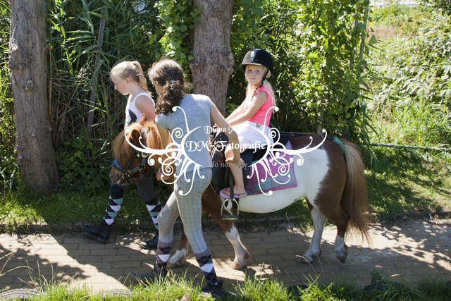Pony rijden 2013