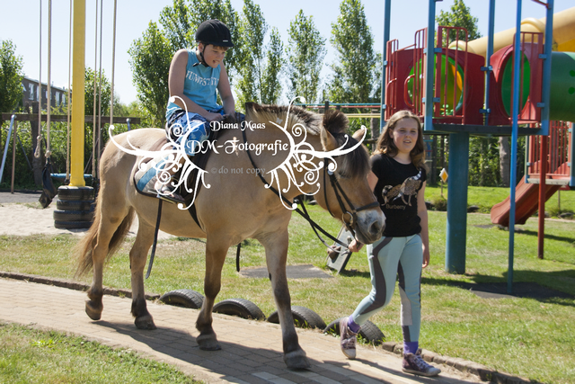 Pony rijden 2013