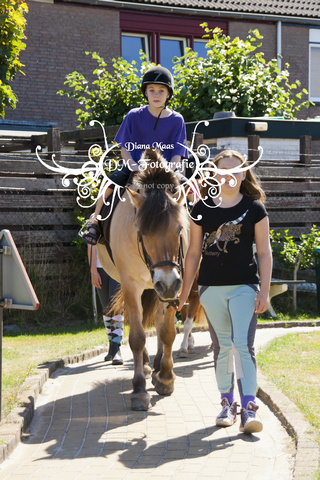 Pony rijden 2013