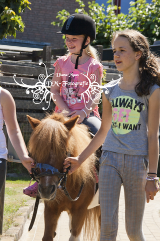 Pony rijden 2013