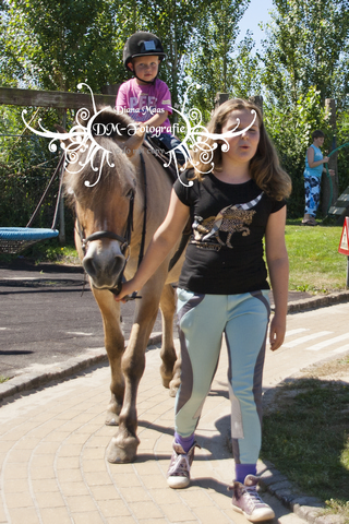 Pony rijden 2013