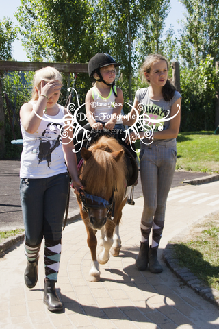 Pony rijden 2013