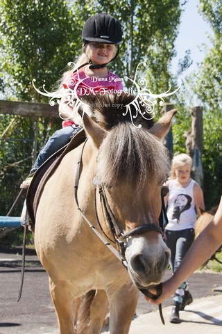 Pony rijden 2013
