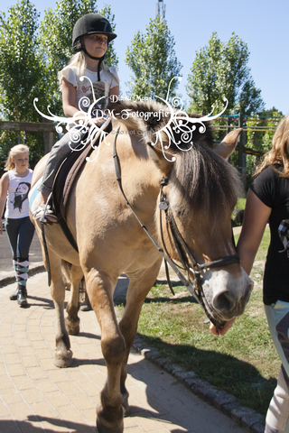 Pony rijden 2013
