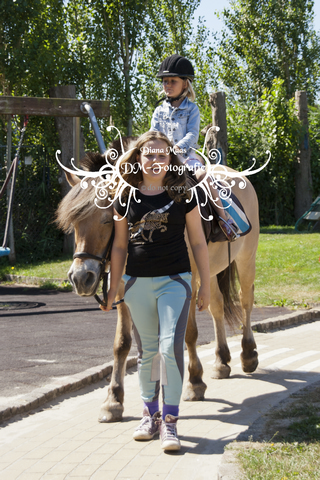 Pony rijden 2013