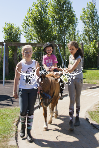 Pony rijden 2013