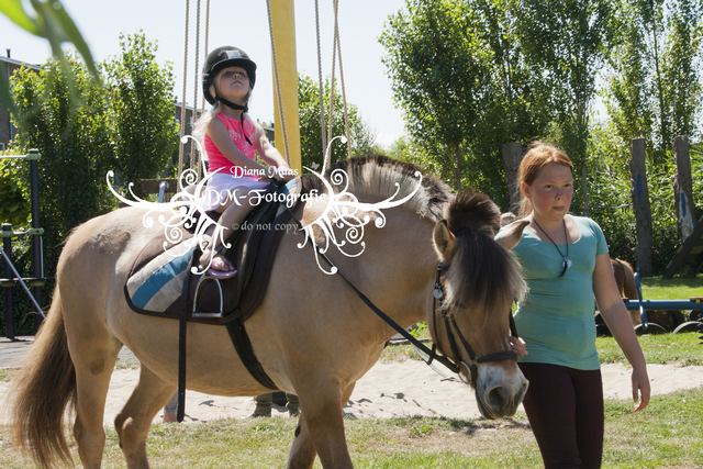 Pony rijden 2013
