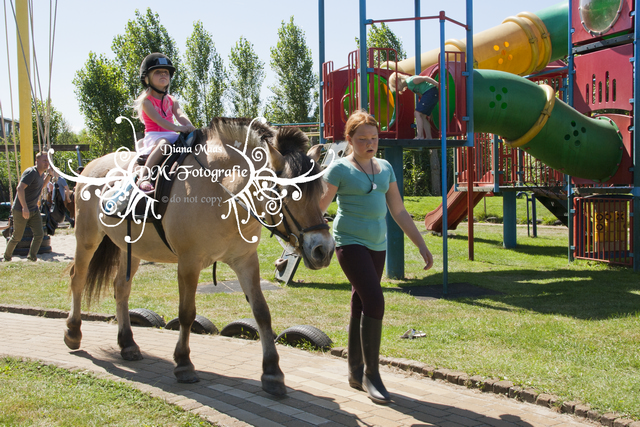 Pony rijden 2013