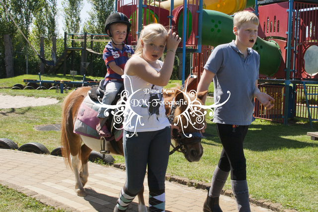 Pony rijden 2013