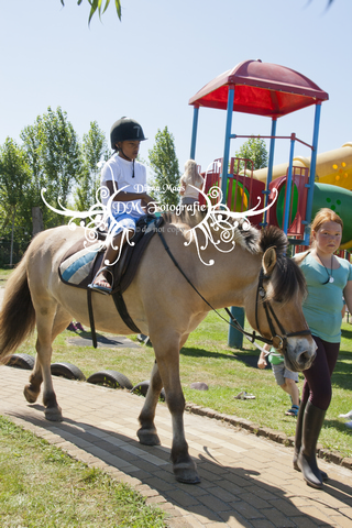 Pony rijden 2013