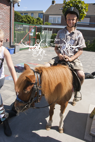 Pony rijden 2013