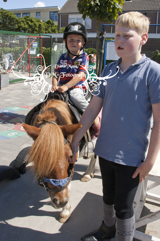 Pony rijden 2013