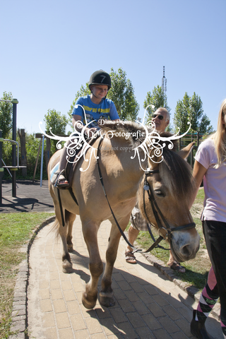 Pony rijden 2013
