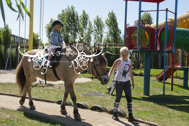 Pony rijden 2013
