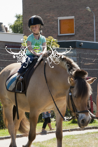 Pony rijden 2013
