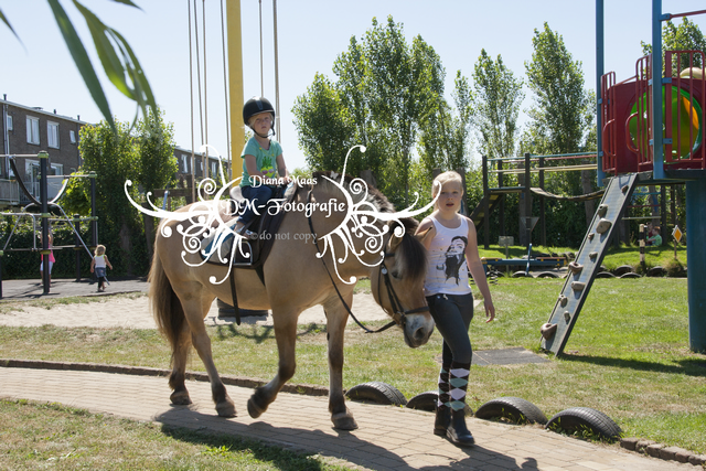 Pony rijden 2013