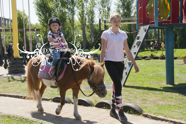 Pony rijden 2013