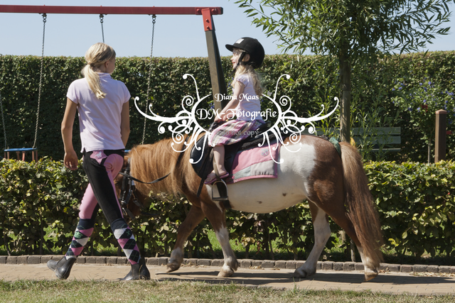 Pony rijden 2013
