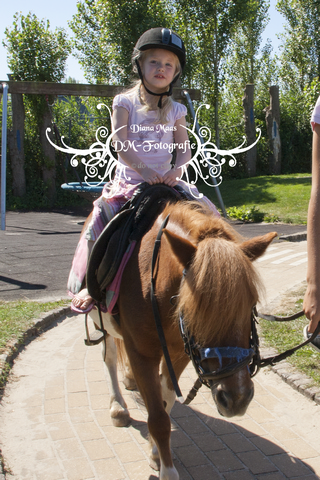 Pony rijden 2013