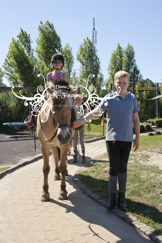 Pony rijden 2013