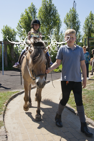 Pony rijden 2013